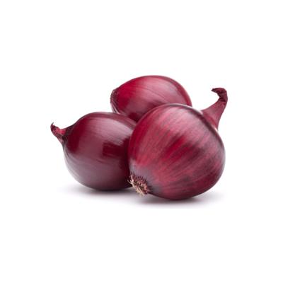 Jumbo Red Onions, 25 LB 1 Jumbo Red Onions, 25 LB