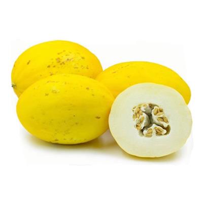 Melon Canary, Avg Size, 3 LB 1 Melon Canary, Avg Size, 3 LB