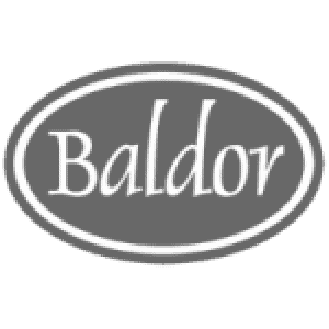 baldor logo home 300x300 1