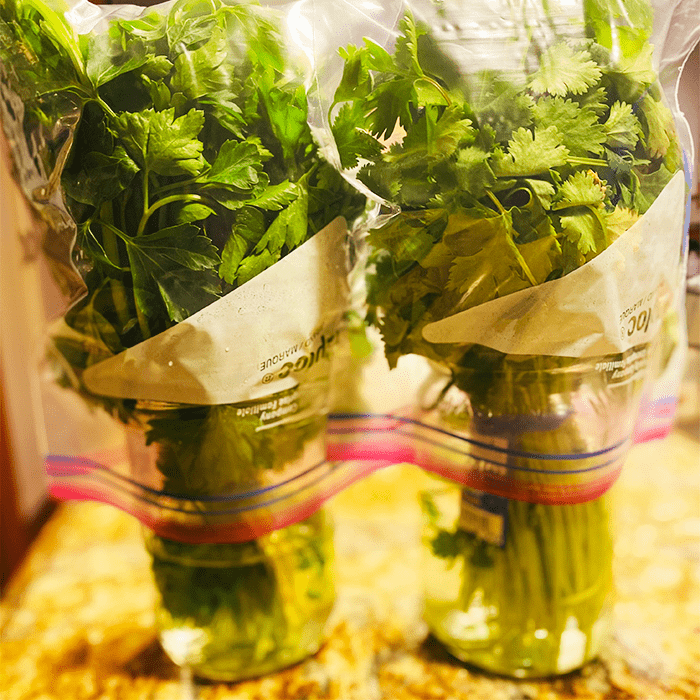 How do you keep herbs fresh longer